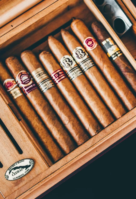 Cigars in Cigar Case